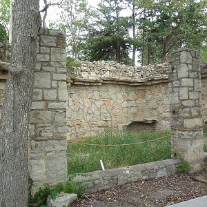 White-Handed Gibbon Future Outdoor Exhibit