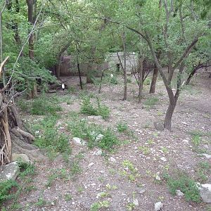 Western Tufted Deer/Red-Crowned Crane Exhibit