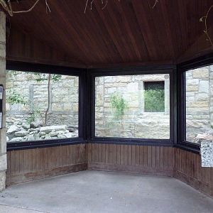 Snow Leopard Exhibit