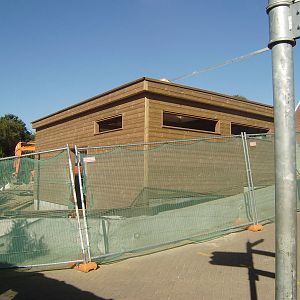 Sun Bear enclosure progress