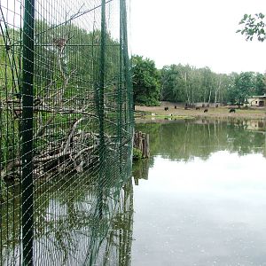 Lakeside Aviary at Chomutov, 30/08/12