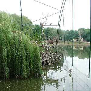 Lakeside Aviary at Chomutov, 30/08/12