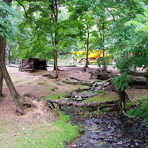 Raccoon and Sheep Enclosure at Chomutov, 30/08/12