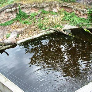 European Beaver Exhibit at Chomutov, 30/08/12