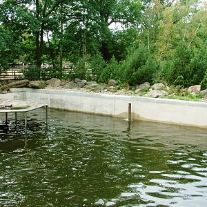 Seal Pool at Chomutov, 30/08/12