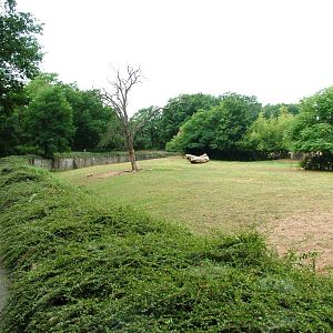 European Bison Paddock at Chomutov, 30/08/12