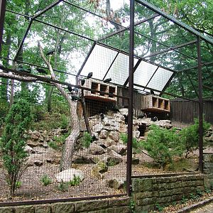 Ibis Aviary at Chomutov, 30/08/12