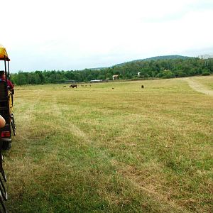 Eurosafari at Chomutov, 30/08/12