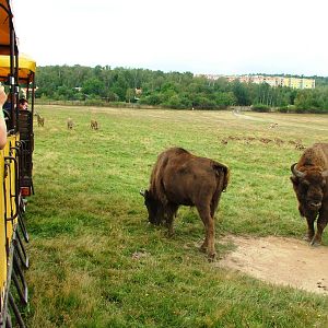 Eurosafari at Chomutov, 30/08/12