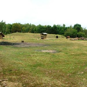 Eurosafari at Chomutov, 30/08/12