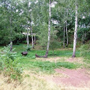 Reindeer Enclosure at Chomutov, 30/08/12