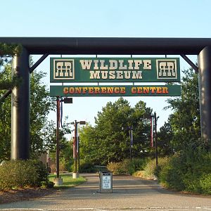 Museum Entrance Sign