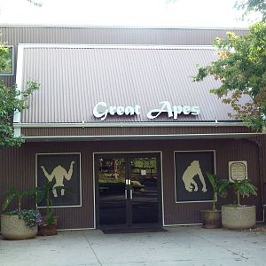 Great Apes Building (Chimps + Orangs)