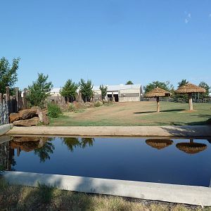 Indian Rhino Exhibit