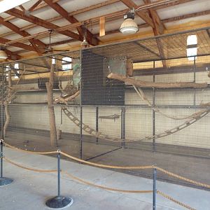 Ring-Tailed Lemur Exhibit - Winter Quarters