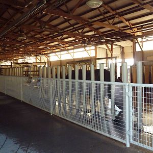 Rhino Barn