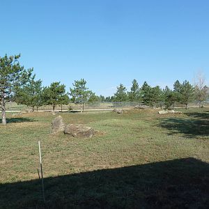 Scimitar-Horned Oryx Exhibit