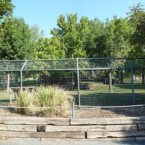 Reeves' Muntjac Exhibit