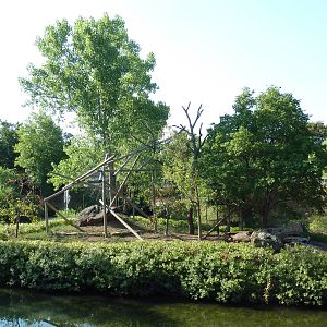 Ring-Tailed Lemur Exhibit