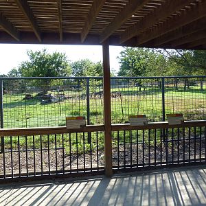 Pronghorn/Mule Deer/White-Tailed Deer Exhibit