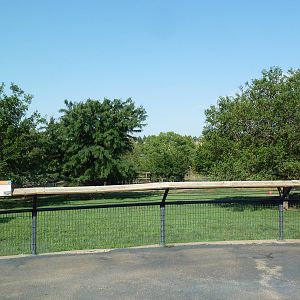 Pronghorn/Mule Deer/White-Tailed Deer Exhibit