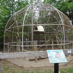 Snow Monkey enclosure