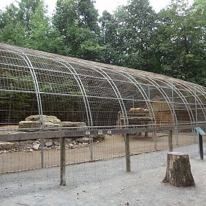 Siberian Tiger exhibit