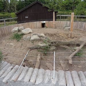 Warthog exhibit