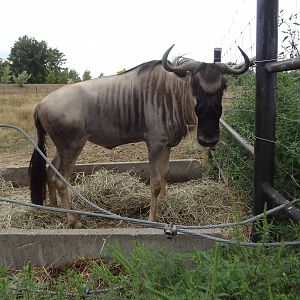 What are you looking at...?