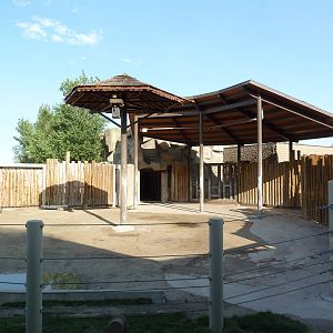 Elephant Encounter - Central Yard