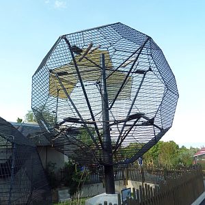 Primate Rotational Cage