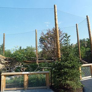 Rocky Shores - Bald Eagle Exhibit