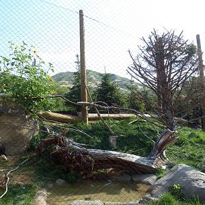 Rocky Shores - Bald Eagle Exhibit