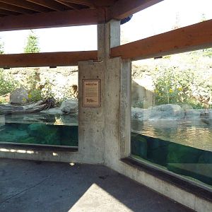 Rocky Shores - River Otter Exhibit