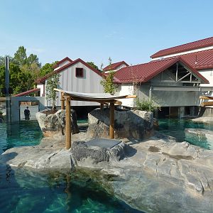 Rocky Shores - California Sea Lion/Harbour Seal Exhibit