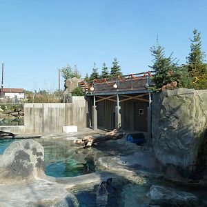 Rocky Shores - California Sea Lion/Harbour Seal Exhibit