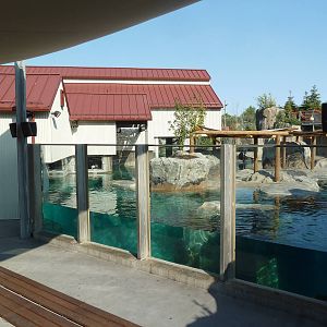 Rocky Shores - California Sea Lion/Harbour Seal Exhibit