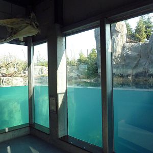 Rocky Shores - Polar Bear Exhibit