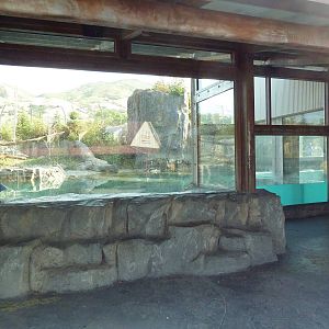 Rocky Shores - Polar Bear Exhibit