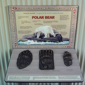 Rocky Shores - Outstanding Polar Bear Sign!