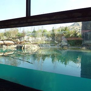Rocky Shores - Polar Bear Exhibit