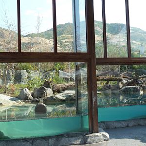 Rocky Shores - Polar Bear Exhibit