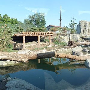 Rocky Shores - Grizzly Bear Exhibit
