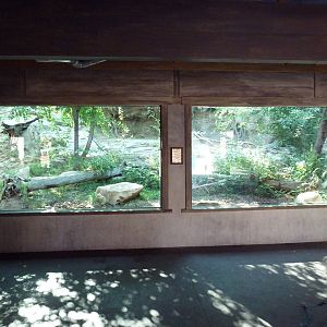 Asian Highlands - Amur Tiger Exhibit