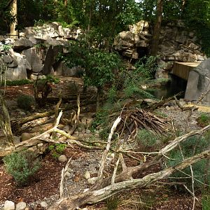 North American Otter Exhibit (American Trails)