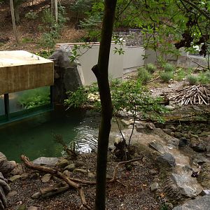 North American Otter Exhibit (American Trails
