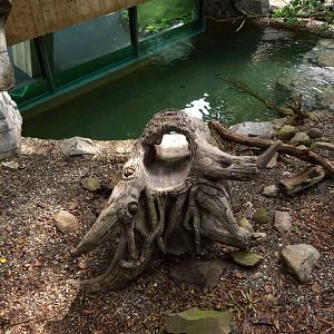 Naturalistic Slide/Log (American Trails)