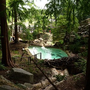 Beaver Exhibit (American Trails) 9-6-12