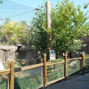 Asian Highlands - Siberian Lynx Exhibit