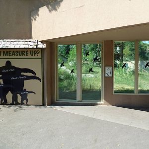 Gorilla Exhibit